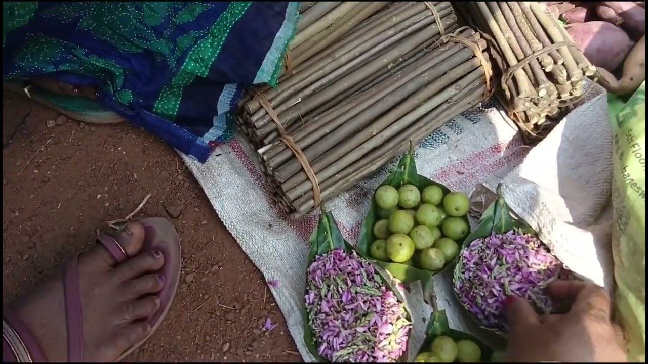 #ଆମେ  ଯାଇଥିଲୁ କାଈ ଆଣି 
