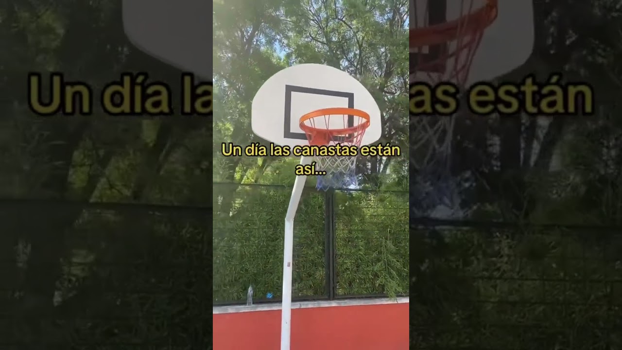 Descubro los aros donde jug&oacute; Shaq #baloncesto #basquetbol #basketbol