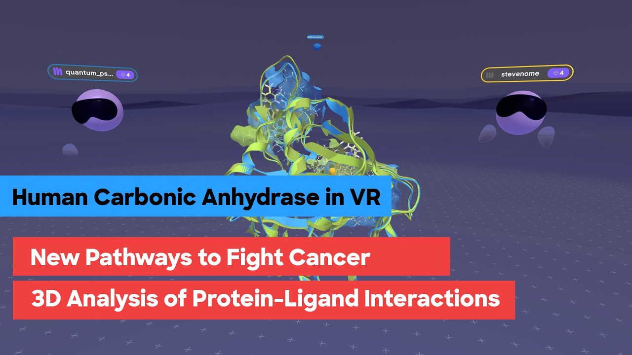 Human Carbonic Anhydrase in VR: New Cancer Pathways & 3D Analysis of Protein-Ligand Interactions