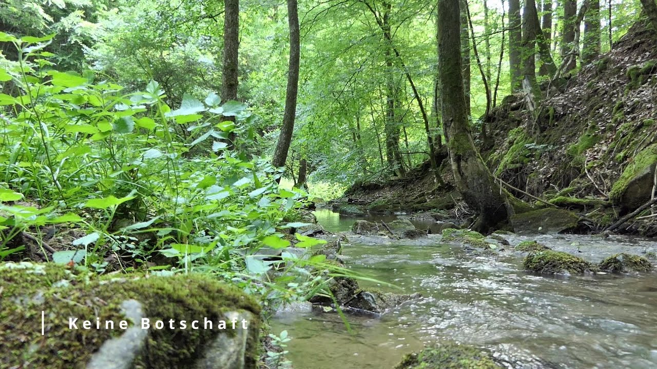 Keine Botschaft