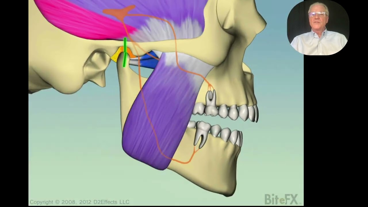 Relieve Facial Pain with Dental Orthotics | Peninsula Center of Cosmetic Dentistry