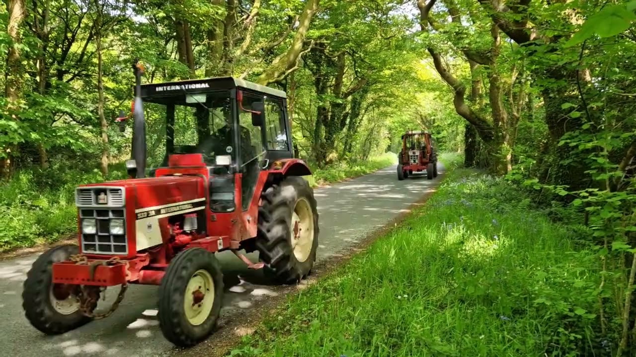 International Harvester Club of Great Britain Dorset Day Road Run 2023