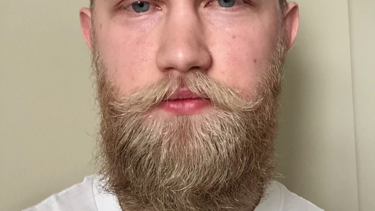 25 week beard journey (first time growing)