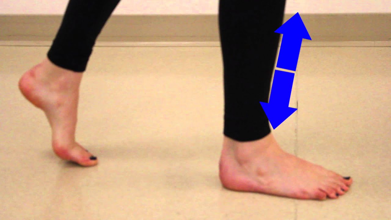 Gait Analysis: Muscle Moments During the Loading Response Phase
