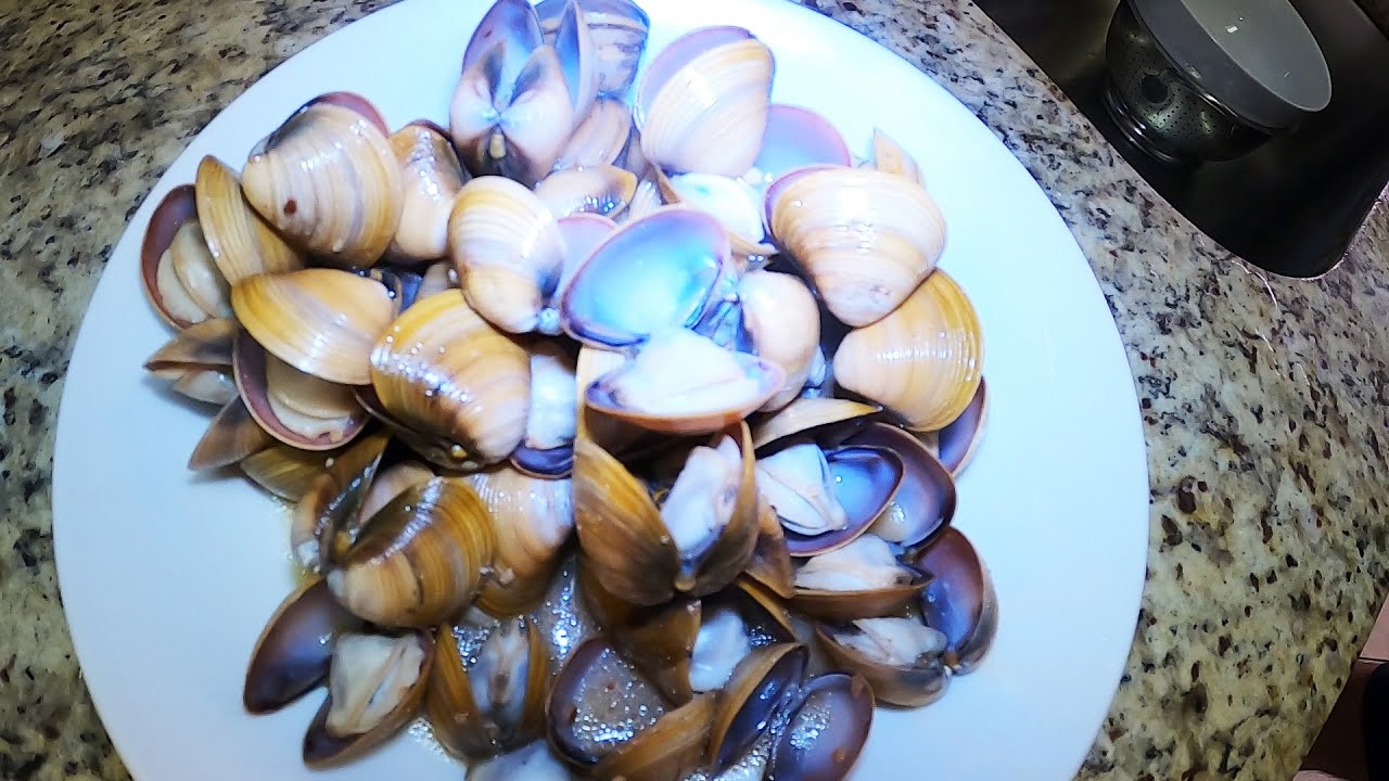 INVASIVE Freshwater Asian Clams | Catch Clean & Cook