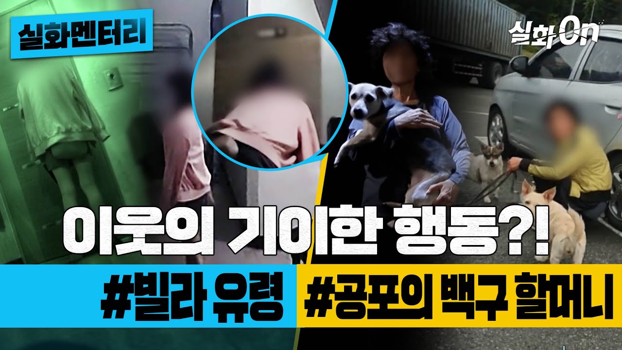 [#실화멘터리] 이웃의 기이한 행동?! #빌라유령 #공포의백구할머니 #실화탐사대 #실화On MBC240620방송