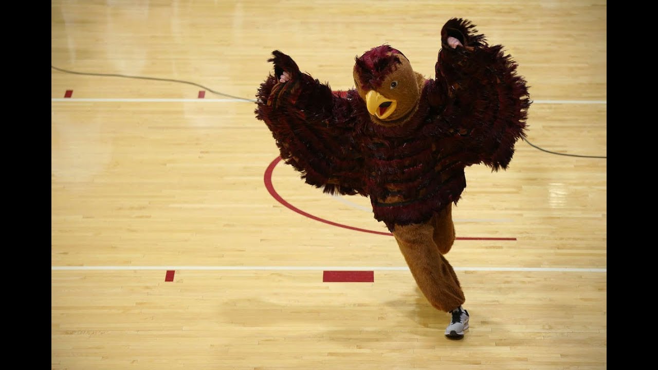More than a mascot, the St. Joseph’s University Hawk flaps on