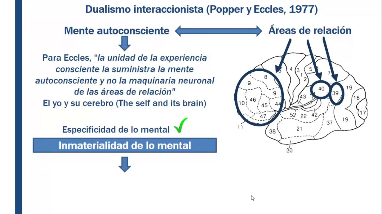 El problema mente-materia