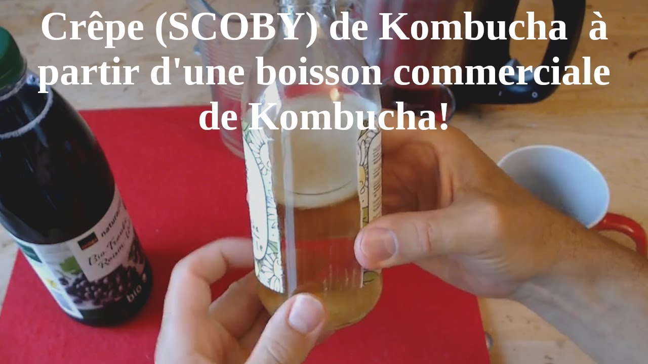 🍇😋 Kombucha maison &agrave; partir d'une boisson commerciale + jus de raisin rouge.