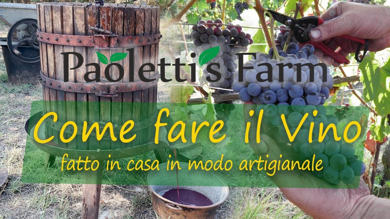 Come fare il Vino fatto in Casa in modo Artigianale