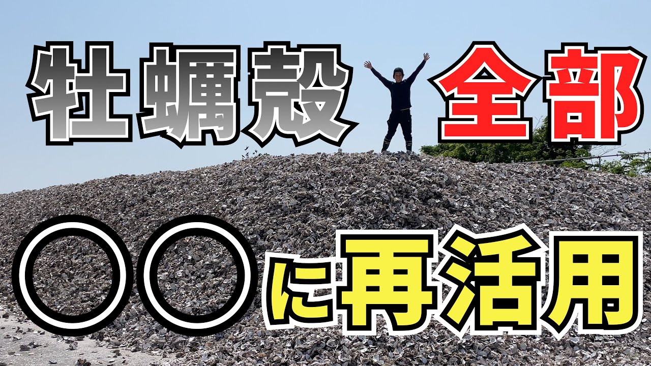 牡蠣殻はゴミじゃない！リサイクル方法とは！？