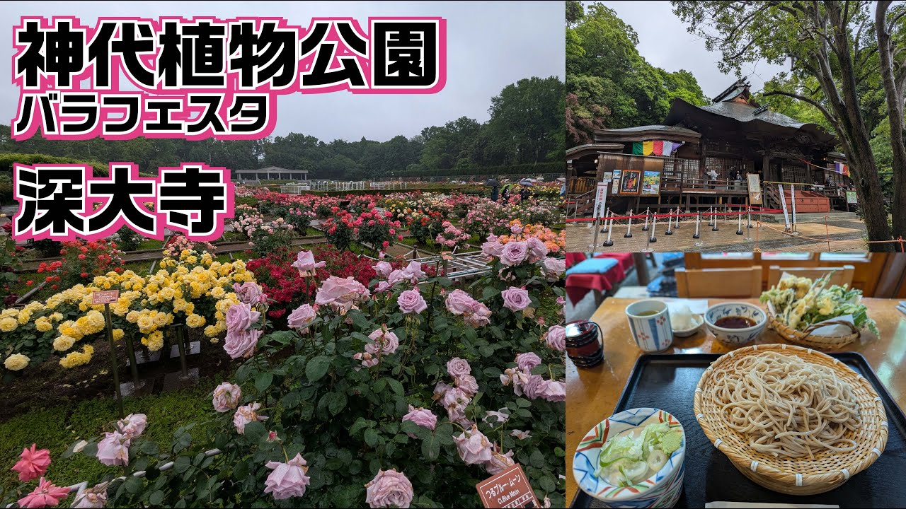神代植物公園と深大寺に行って来ました。