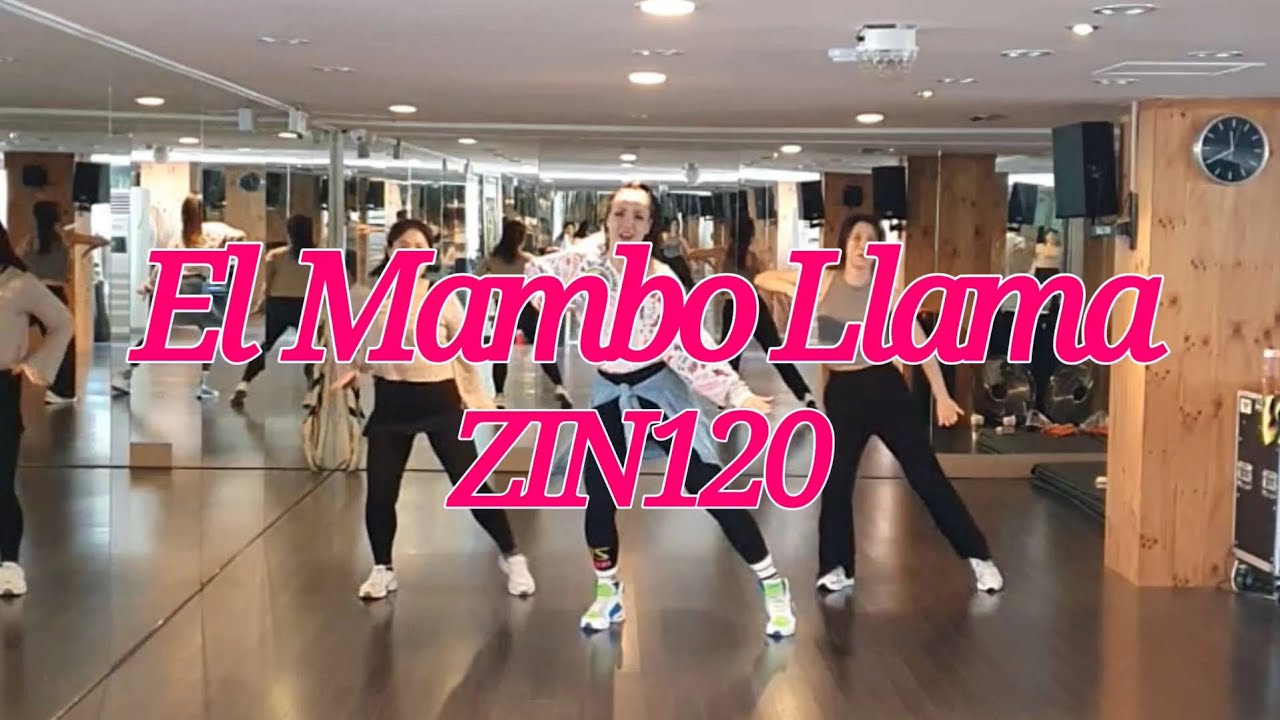 ZIN120. El Mambo Llama /