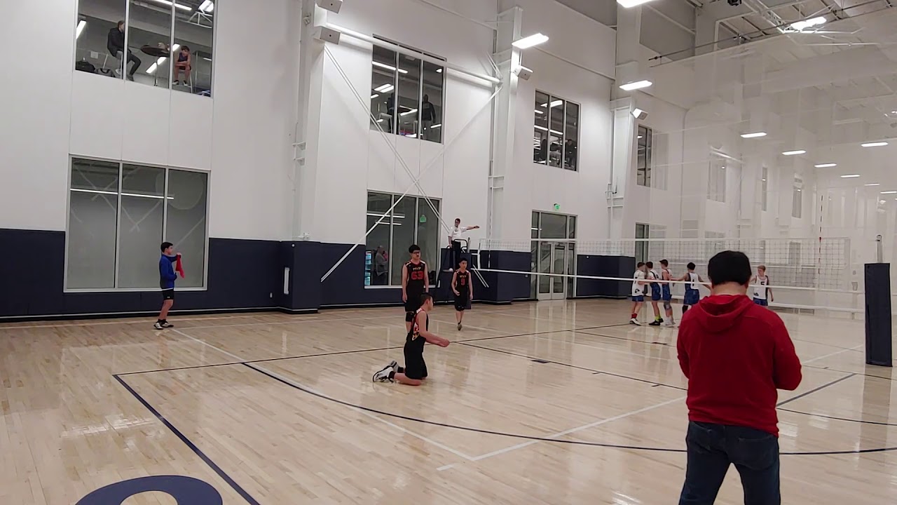 volleyball MVP vs TVP