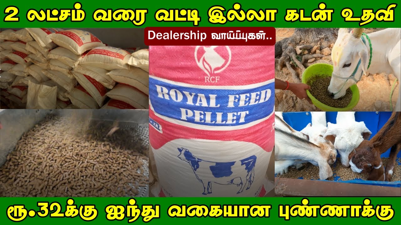 5வகை புண்ணாக்கை கலந்த குச்சி தீவனம் | தீவனத் தொழில் செய்ய  இலவச பயிற்சி | Royal Cattle Feed