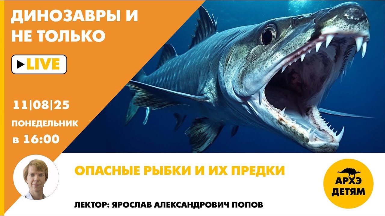Занятие 