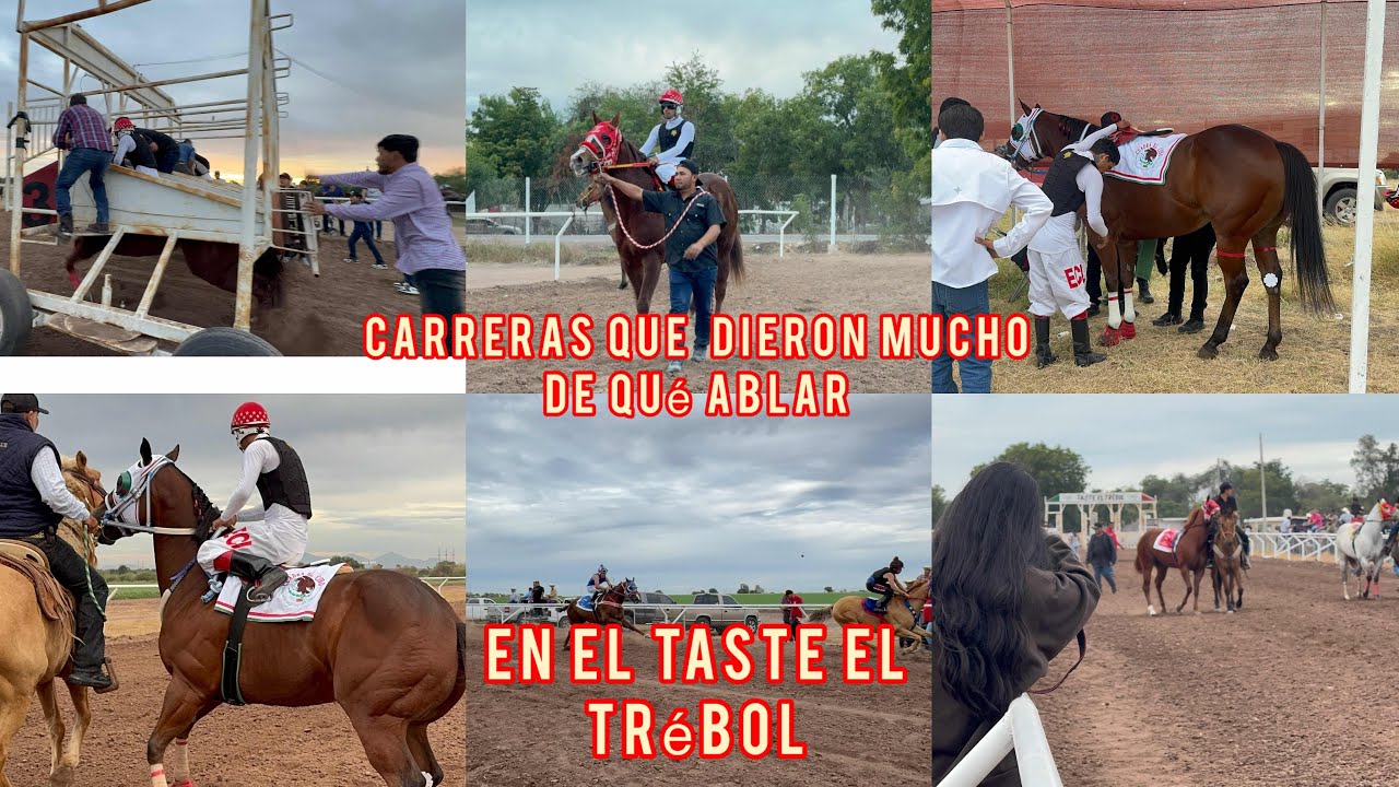 ASÍ NOS LAS PASAMOS EN EL TASTE EL TREVOL