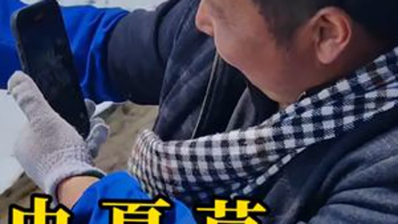 你们体验过挖冬虫夏草吗？靠的是眼力，一年只有一次，每一根冬虫夏草都来自海拔四到五千多米的雪上上，真的太不容易了。#冬虫夏草