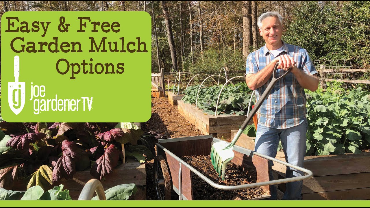 Easy & Free Mulch Options for Amazing Garden Soil