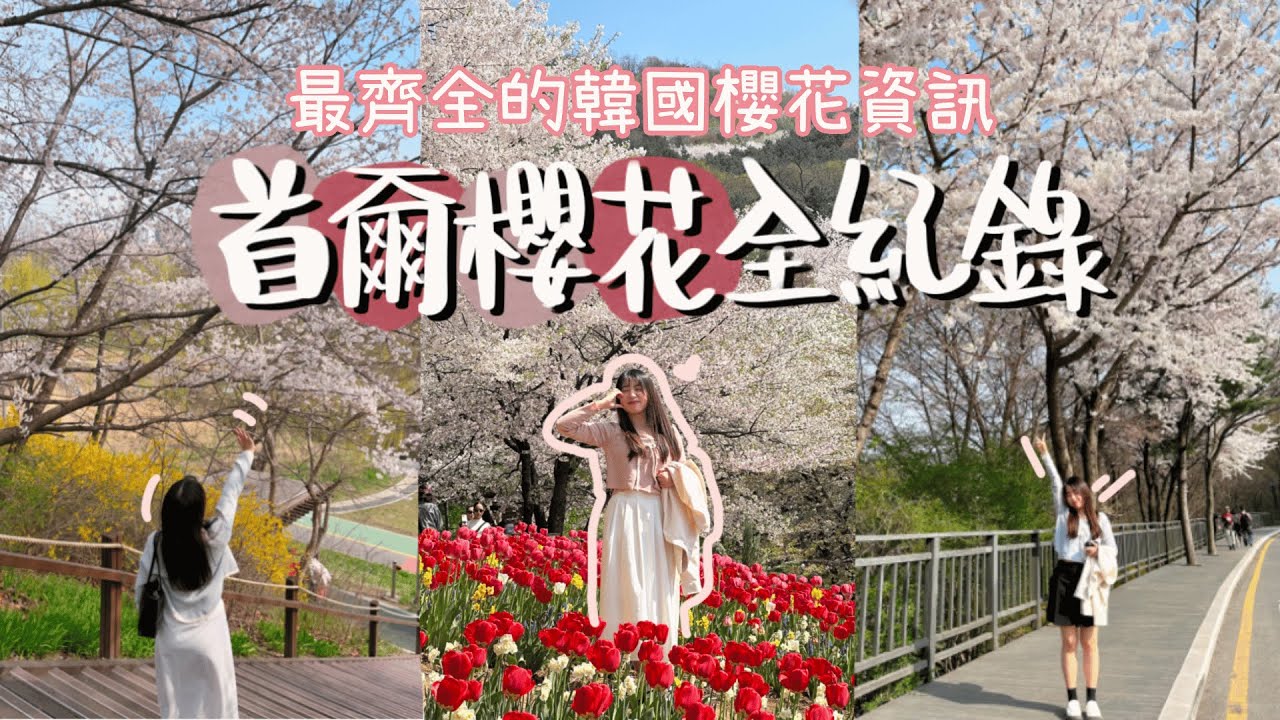 【Korea Blossom】🌸2025年十大韓國首爾櫻花熱門景點🌸｜只有韓國人知道的櫻花美景???￼🤫 ｜韓國賞櫻小貼士~