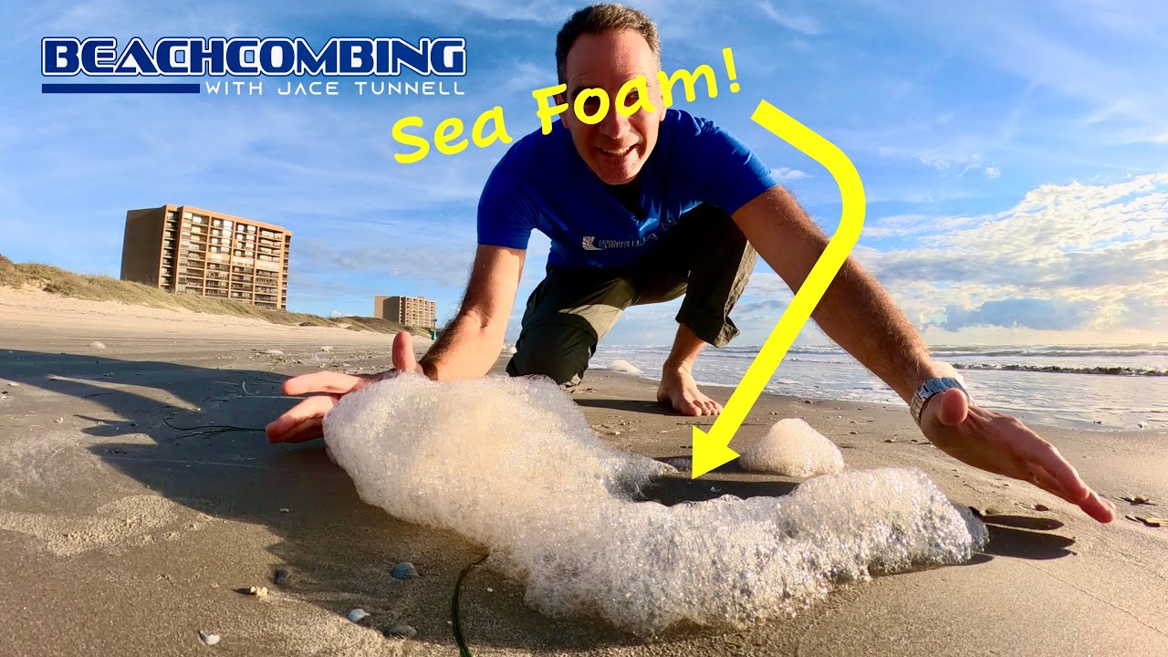 Beachcombing - Sea Foam