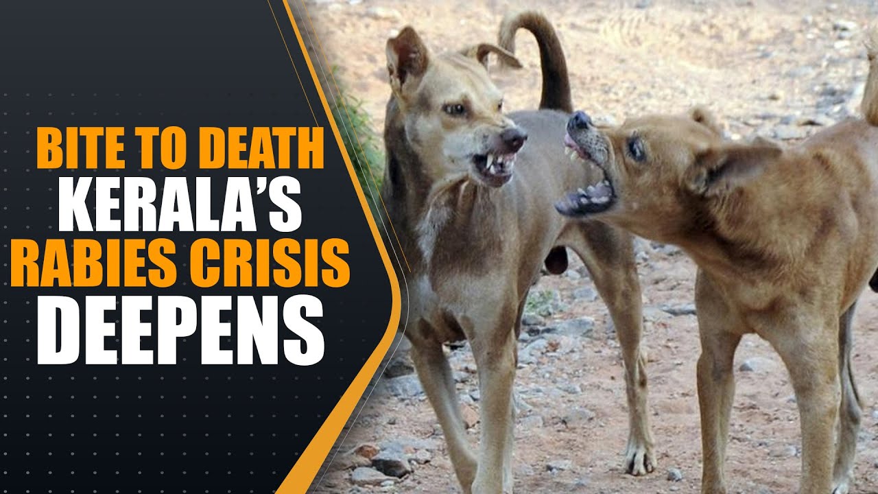 Kerala&rsquo;s Rabies Tragedy: Why Are Kids Dying Despite Vaccination? | News9