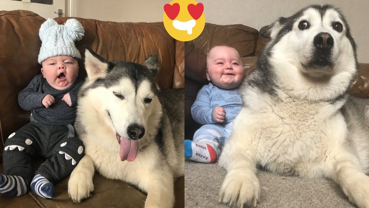 My Husky Promised from Day 1 she would always Protect my Baby! [CUTEST VIDEO EVER]