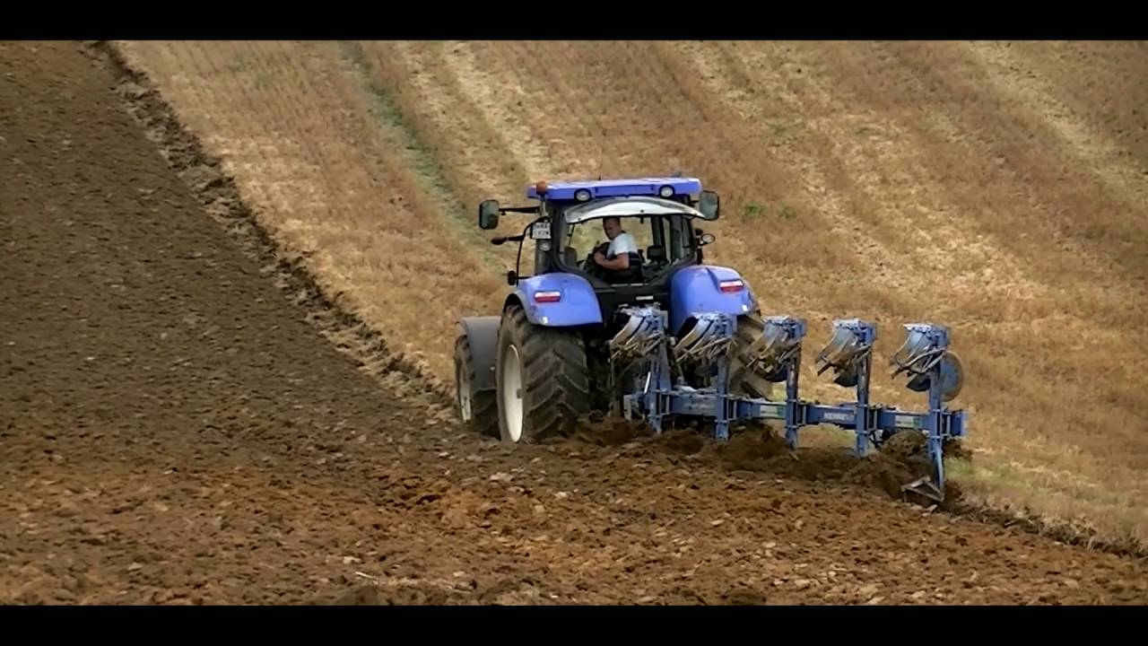 Żniwa i Orka pod rzepak 2016 / Claas / New Holland