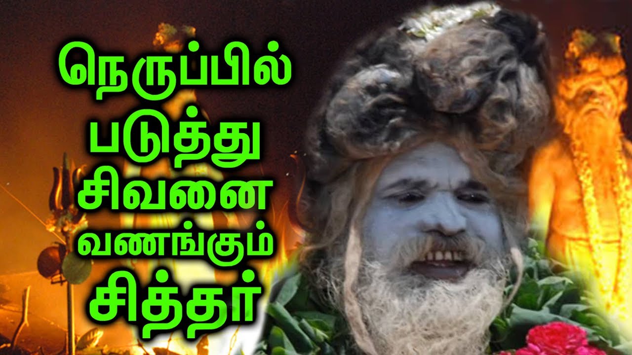 500 ஆண்டுகள் வாழமுடியுமா ? வாழ்ந்து வரும் சிரஞ்சீவி காட்பாடி சித்தர் !