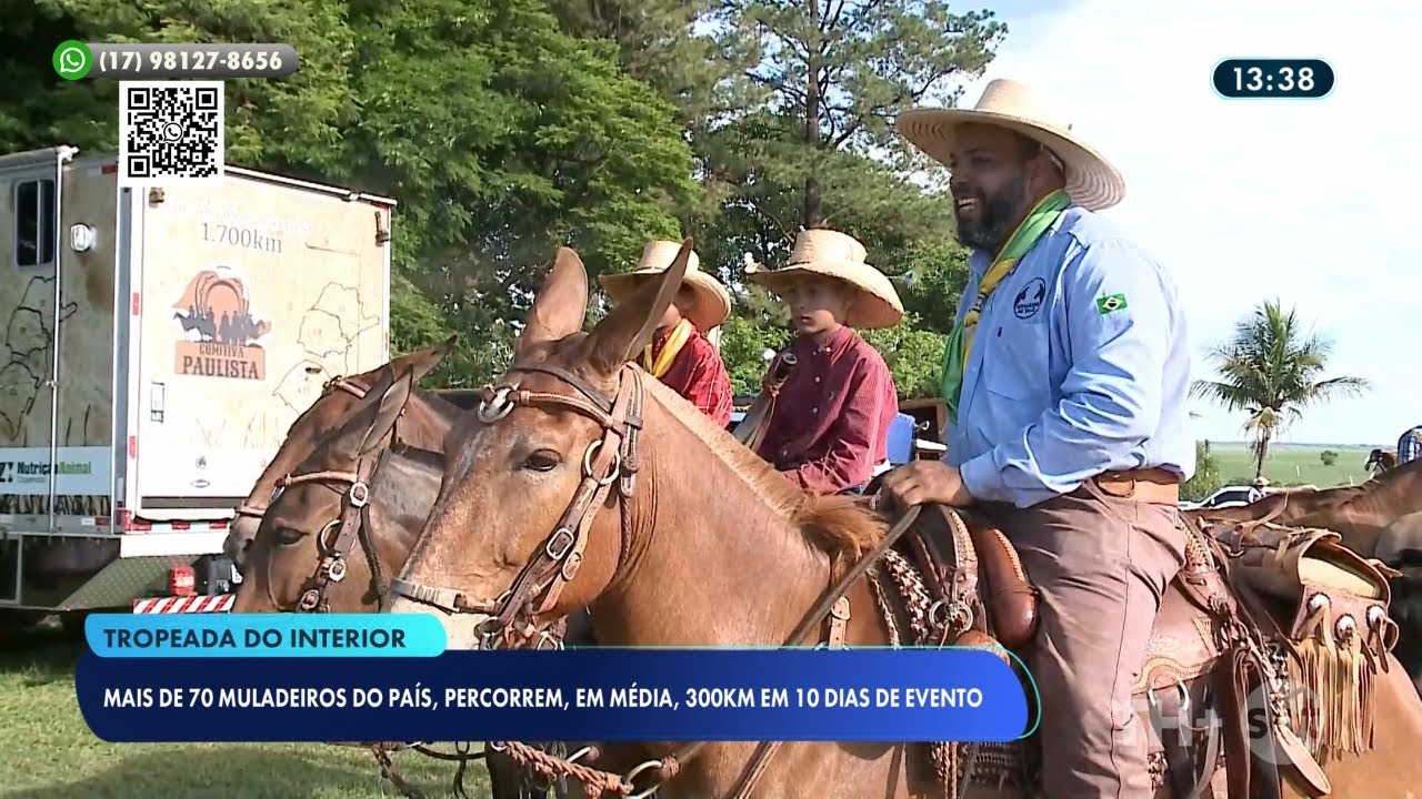 Muladeiros do pa&iacute;s percorrem 300 km em 10 dias em evento no interior