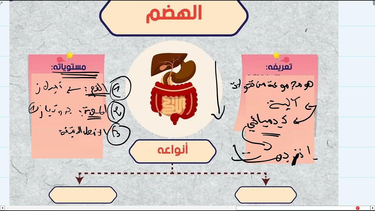 الجهاز الهضمي و عملية الهضم