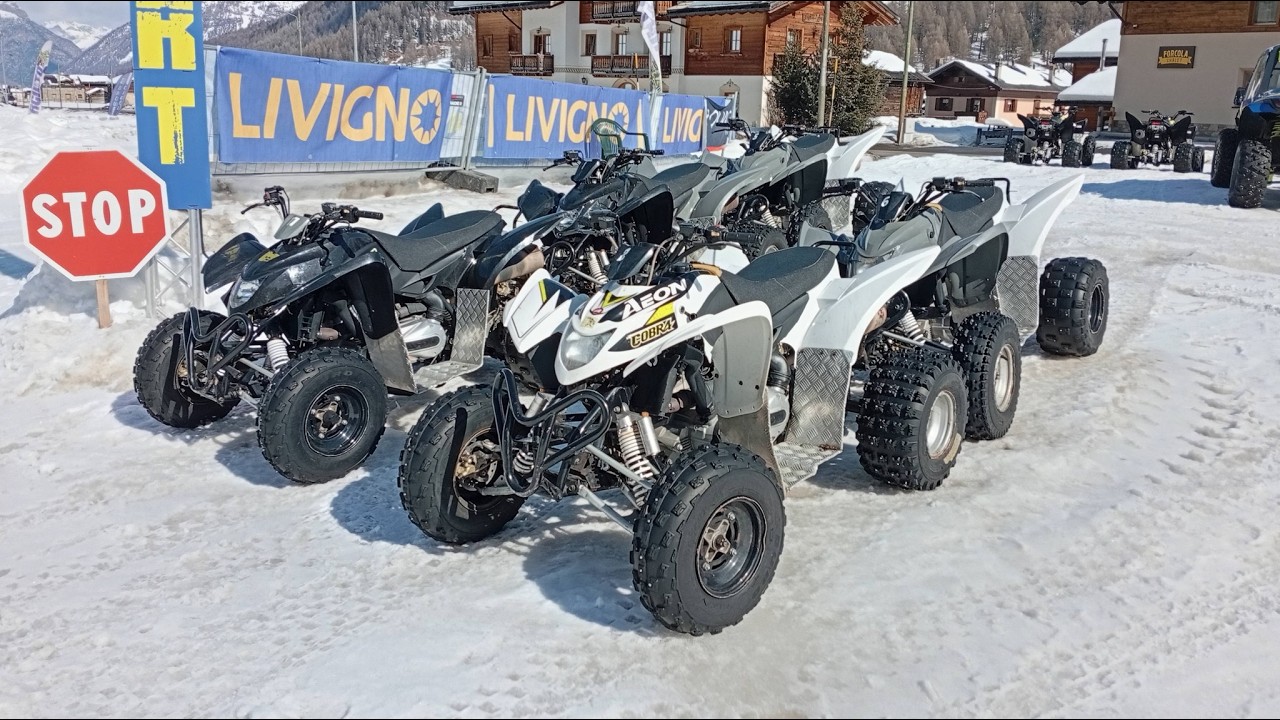 Winter Quad Livigno | Aeon Cobra 400