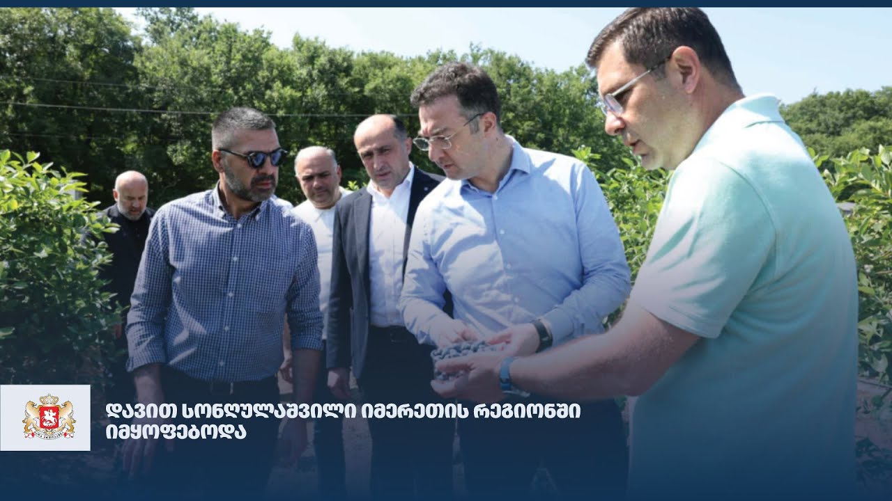 დავით სონღულაშვილი იმერეთში იმყოფებოდა