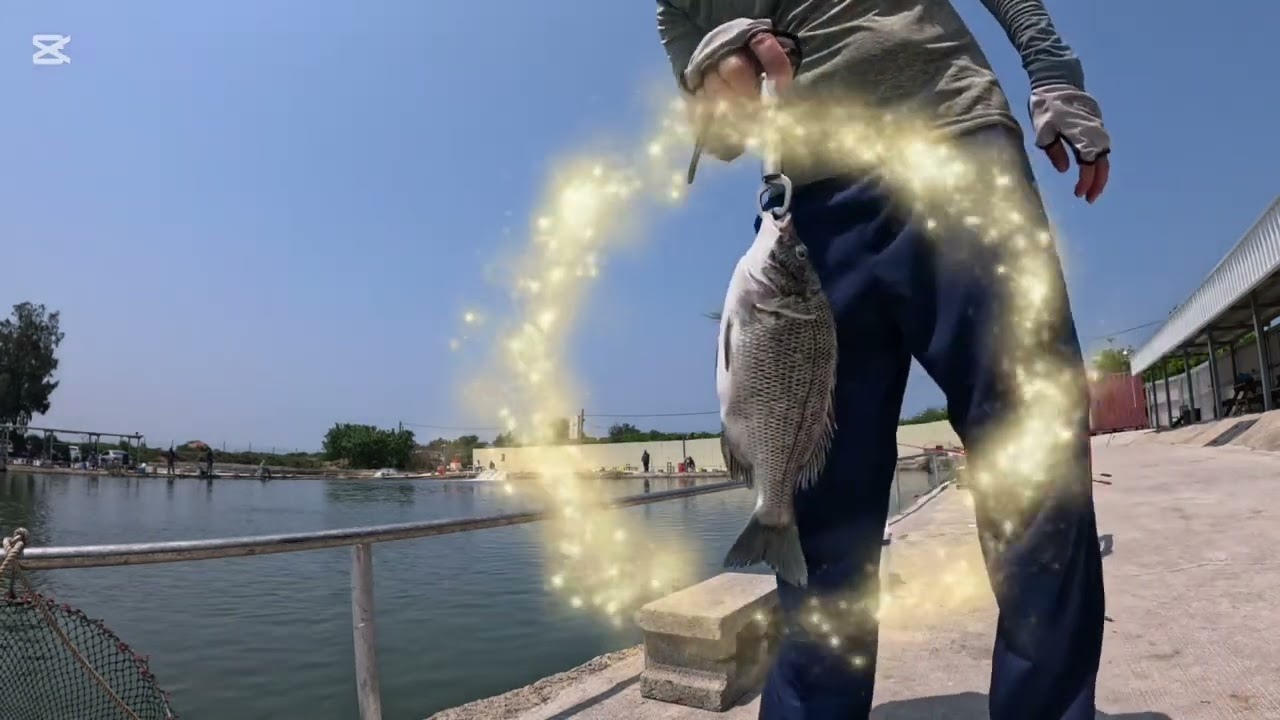 2025 5 13 快樂釣魚🎣趣 方洋海釣場黑格大咬 影片中有搏大片段