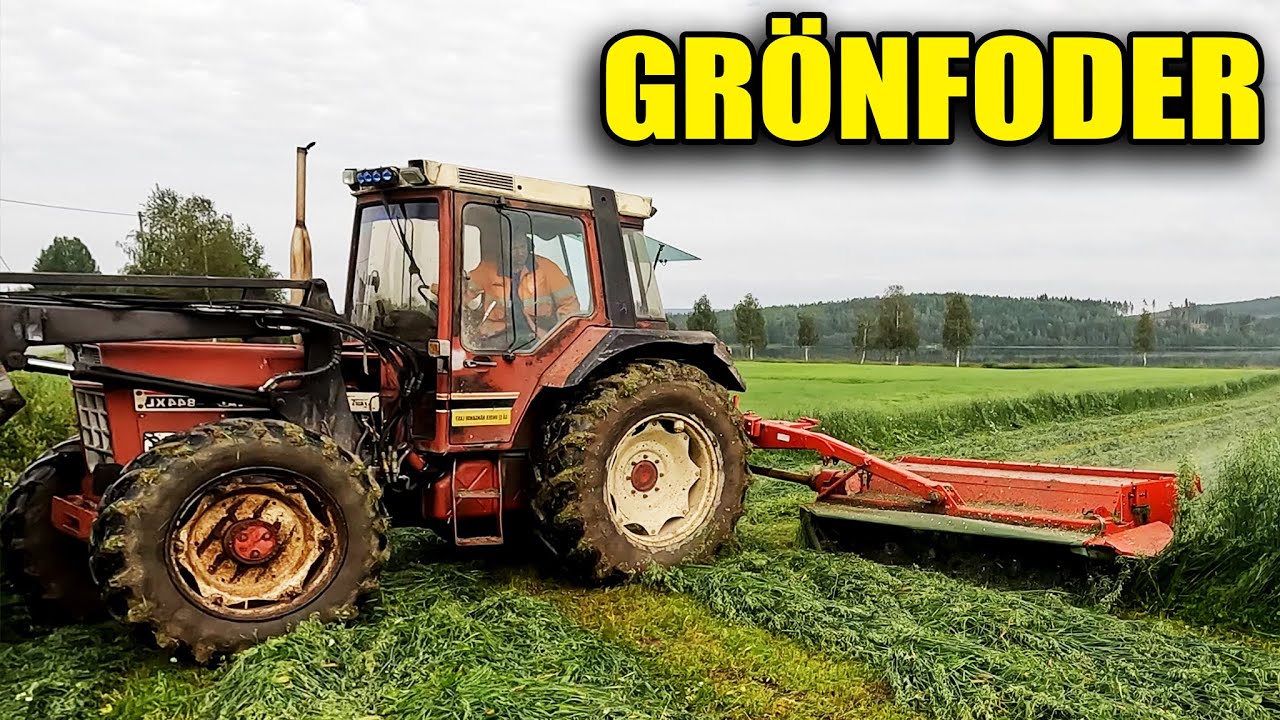 IH844XL och SLÅTTERMASKINEN