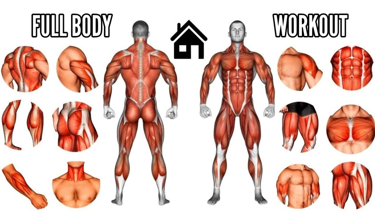 Full Body Home Workout – No Equipment , Just Results!