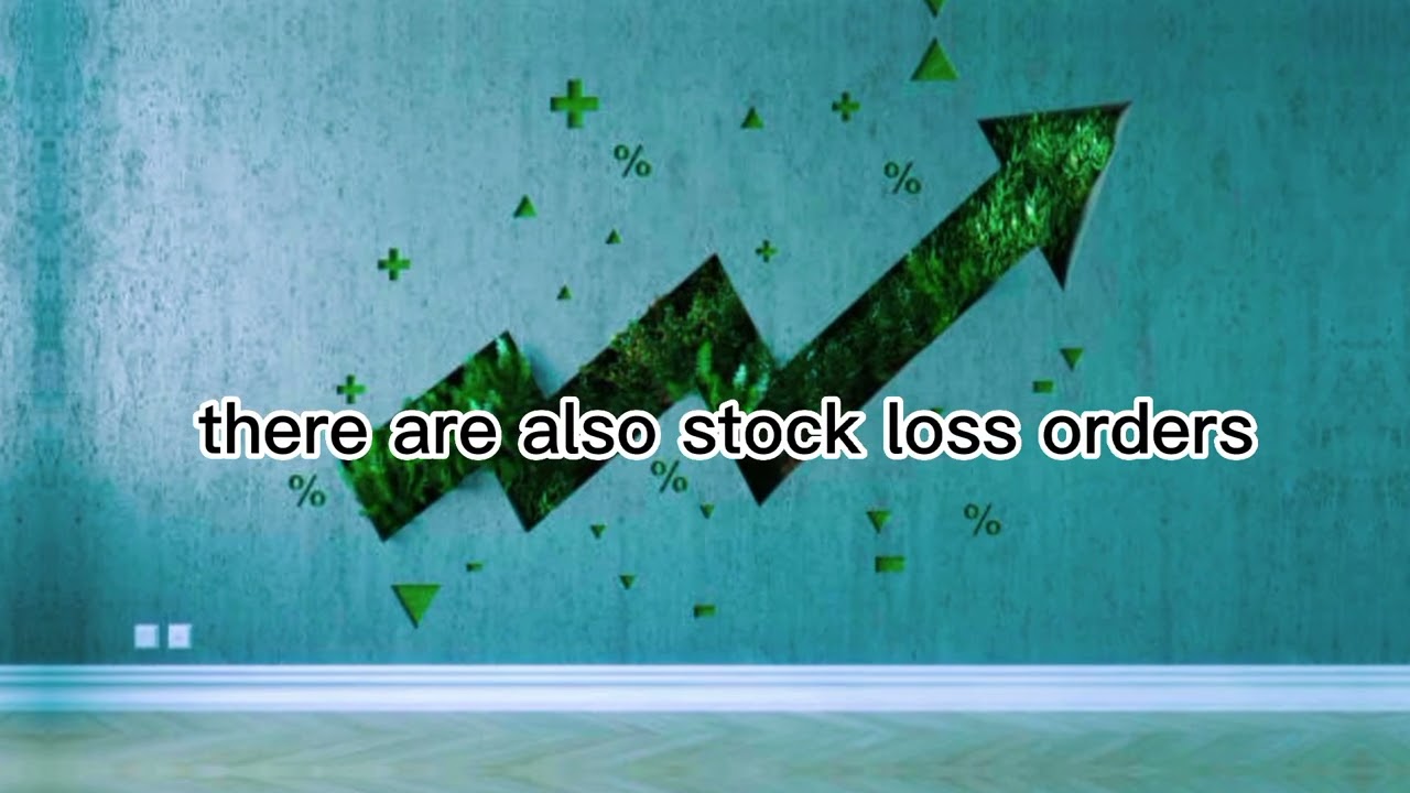 What does the Stock market work? Oliver Elfenbaum