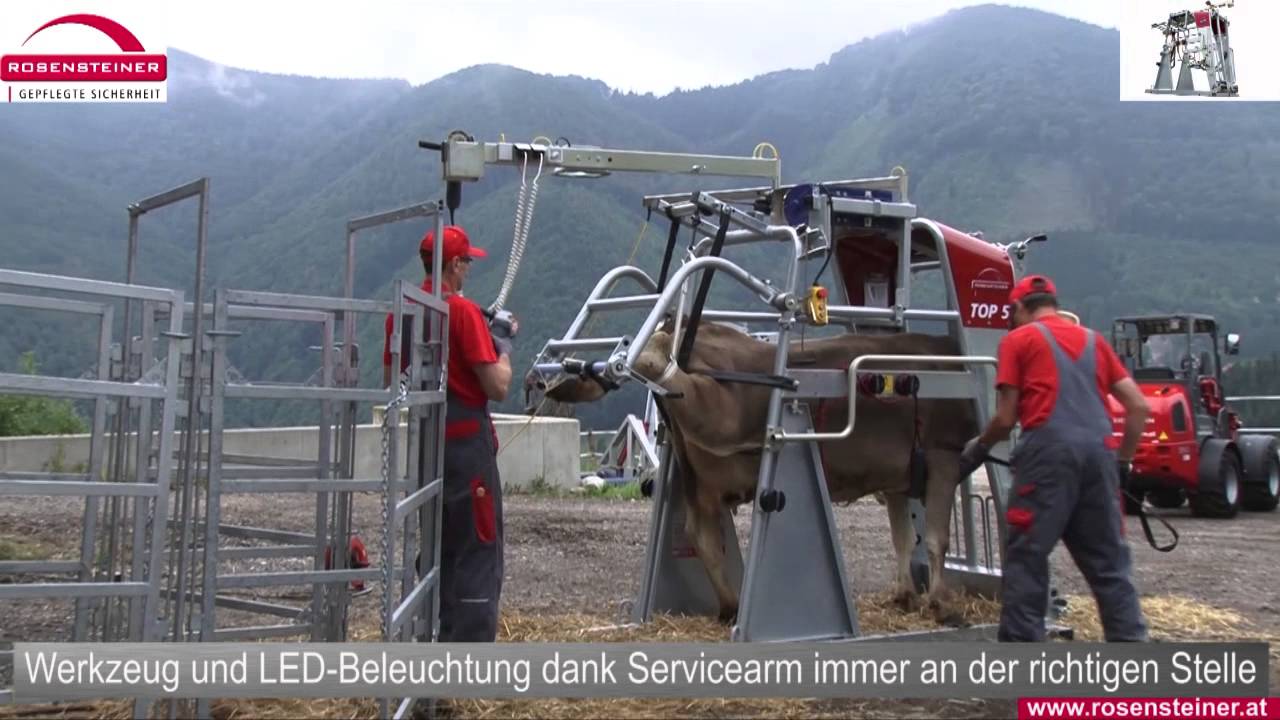 Rosensteiner Top 5 Klauenpflegestand