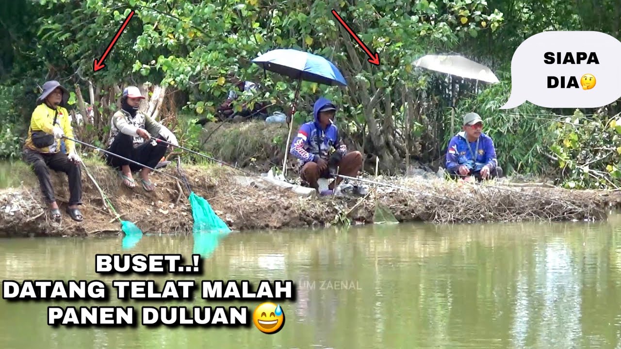 Baru datang udah ngabisin ikan bikin tetangga melongo