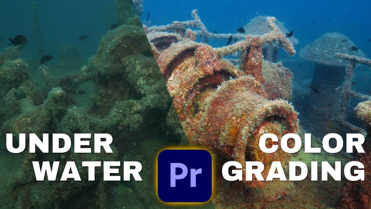 Color Grade Any Underwater Video in Adobe Premiere Pro