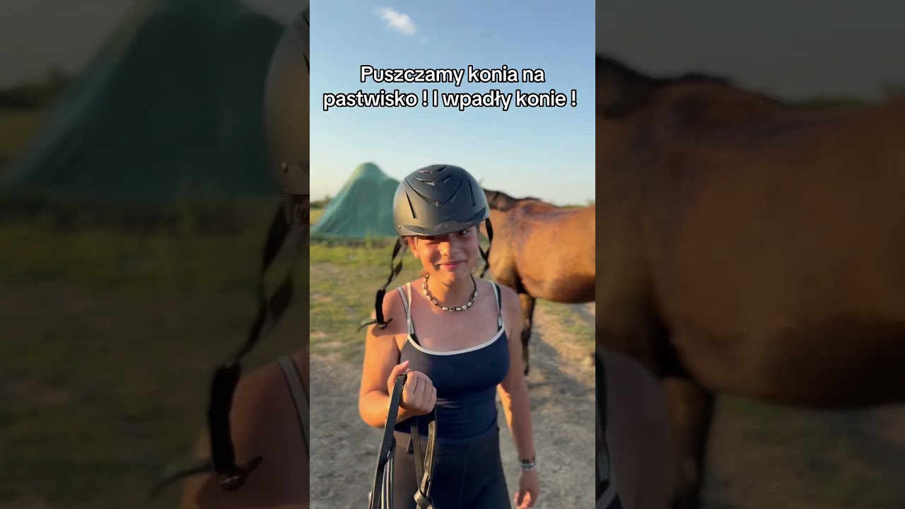 SZOK !!! Źrebak wystraszył konie ! 🐎 🐴 😯