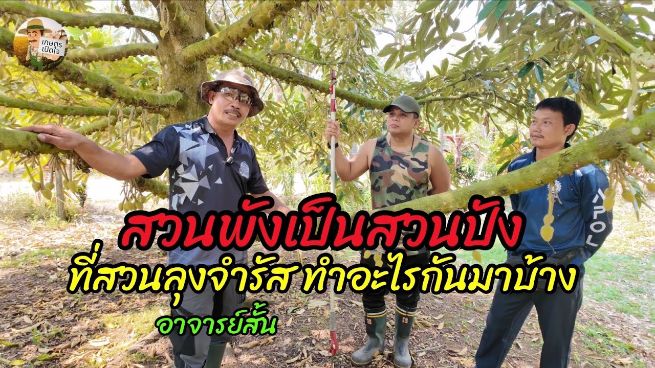 จากสวนพังสู่สวนปัง เปลี่ยนแปลง แก้ไขทั้งระบบ ที่แปลงลุงจำรัส เราทำยังไงกันบ้าง 