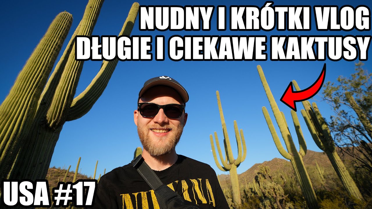 Nudny i krótki vlog (długie i ciekawe kaktusy) - Kamperem po USA #17