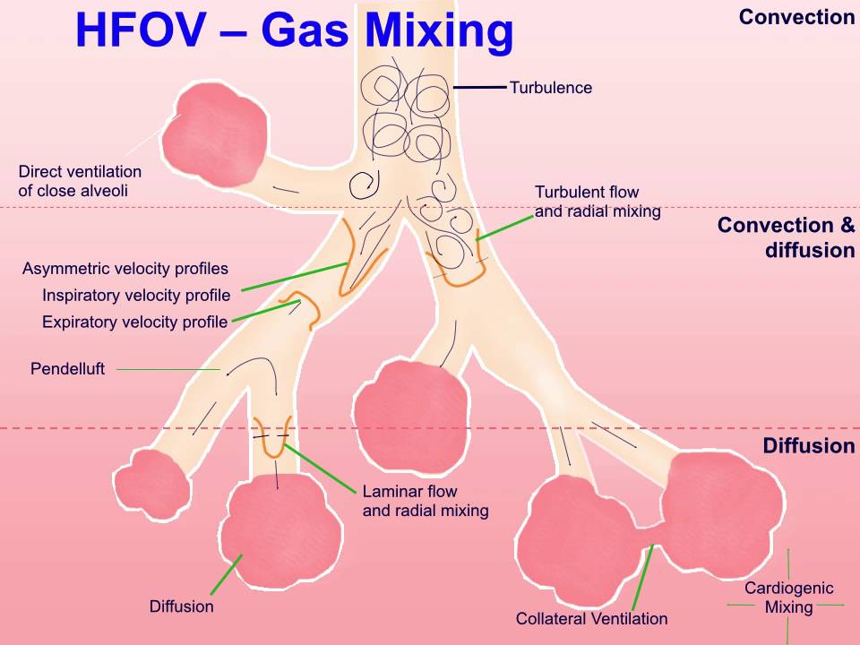 How Does HFOV Work HFOV Course 2015