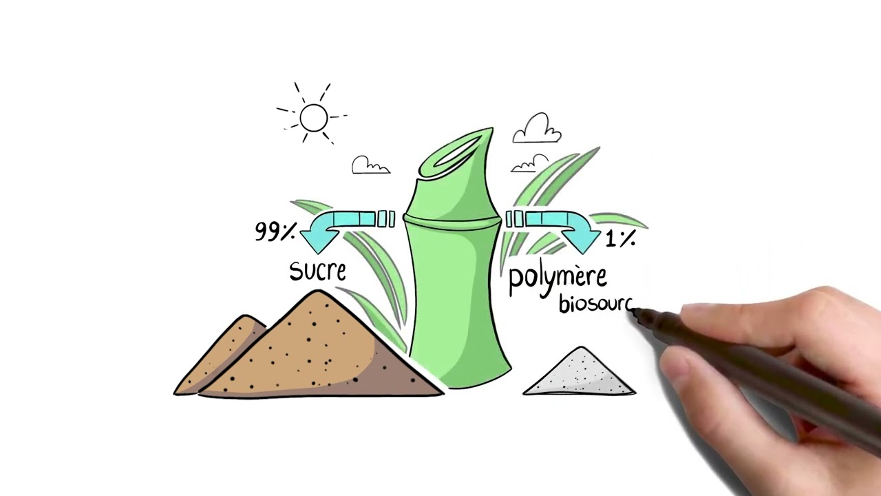 Qu'est-ce qu'un polym&egrave;re biosourc&eacute; ? Par Impact-Bio inc.