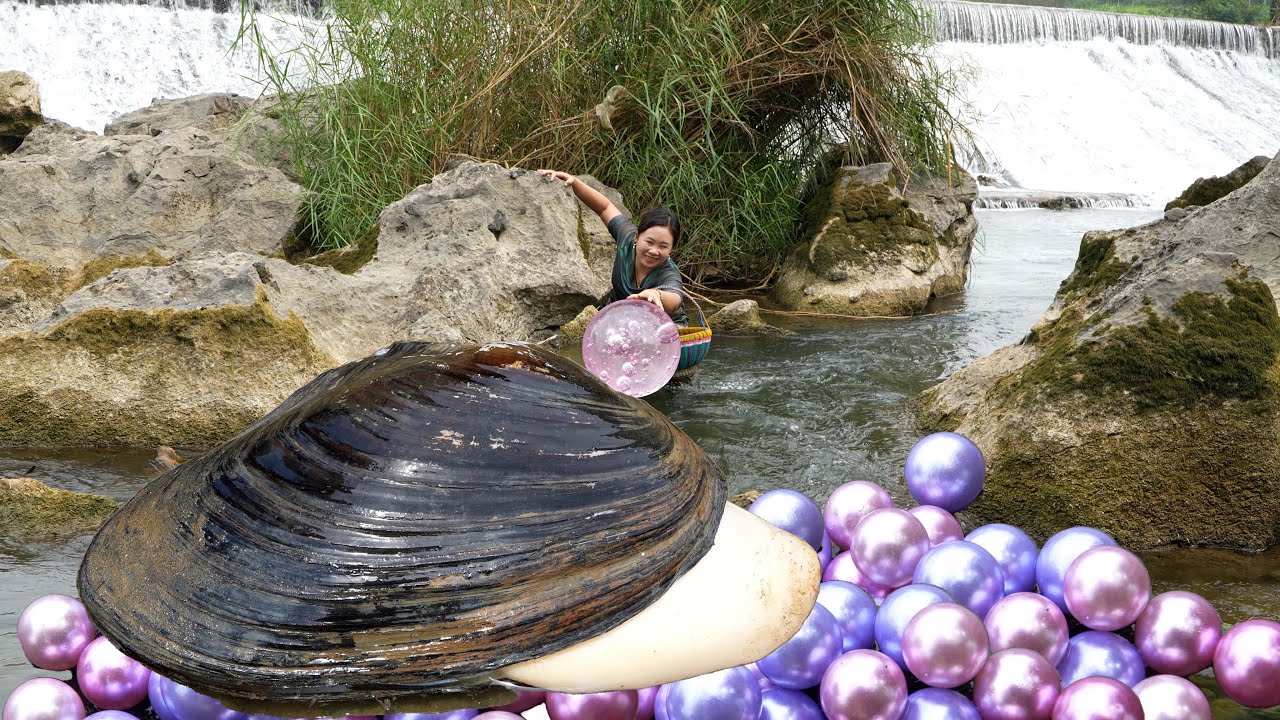 😱🎁The girl discovered a giant clam filled with desirable pearls, which was extremely charming