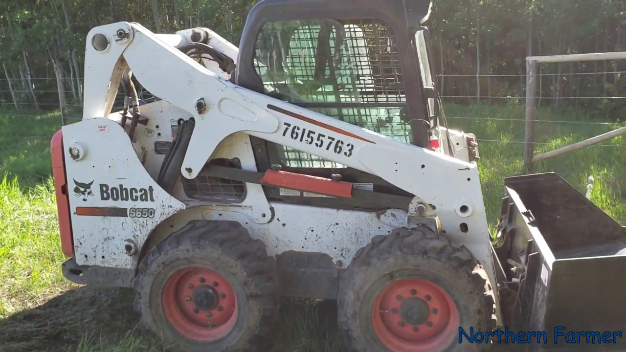 Bobcat S650 Clearing Brush!!