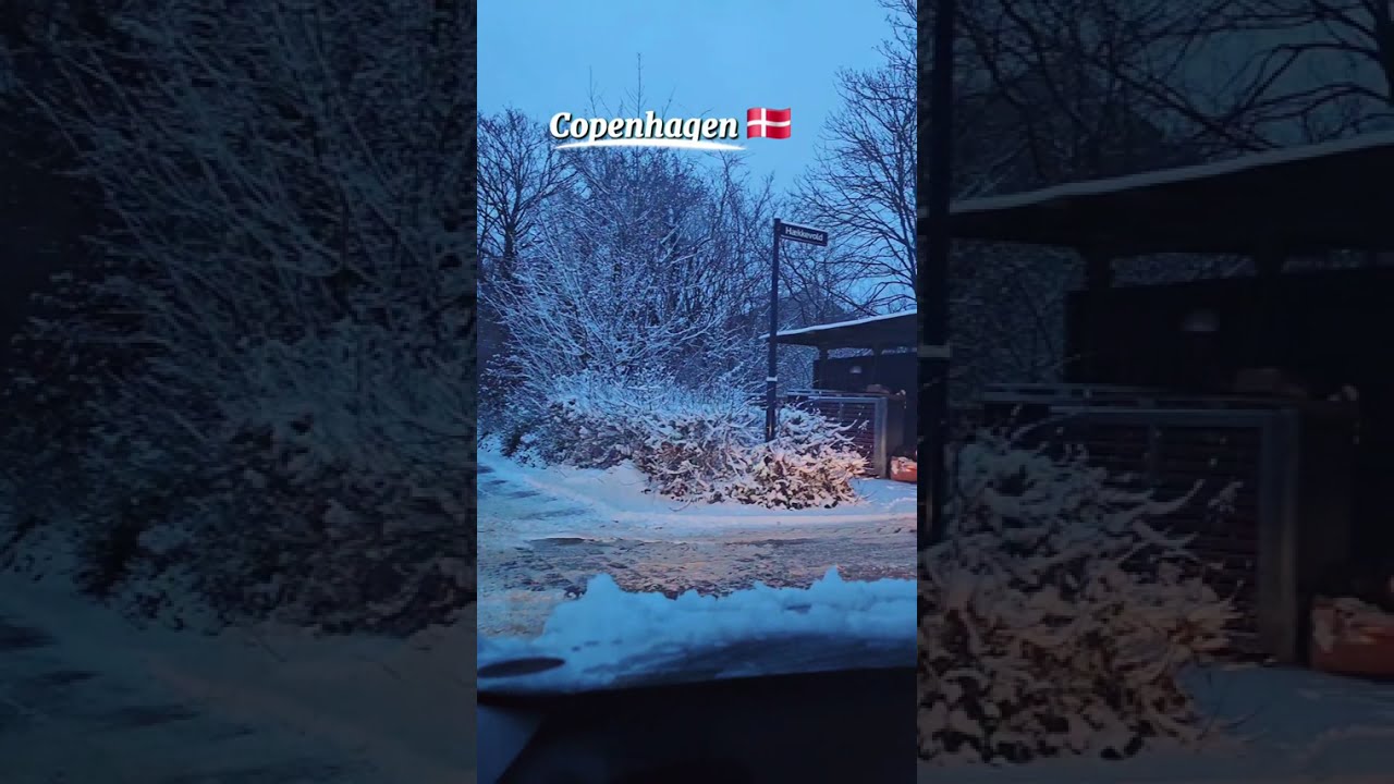 Snow Drive @ Copenhagen Denmark 🇩🇰 #Nectar4Soul 