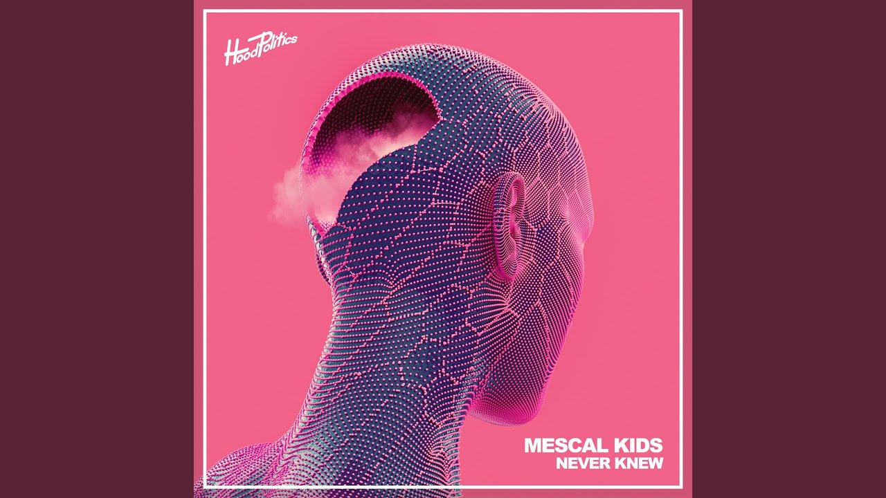 Never Knew (Extended Mix)