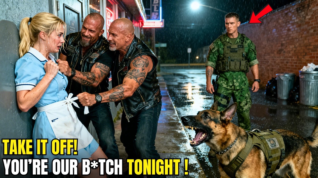 “DON’T SCREAM, B*TCH.” They Cornered Her— Not Knowing a Navy SEAL and His K9 is Watching